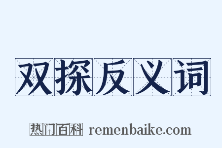双探反义词是什么意思的图片